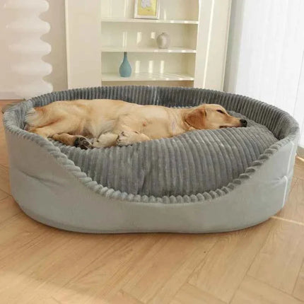 Dog lying on a gray pet bed in a room with wooden flooring and a shelf in the background.