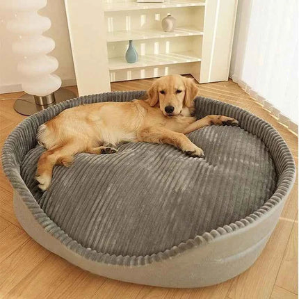Dog lying on a gray pet bed in a room with a shelf and lamp.
