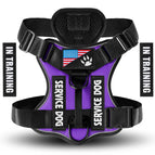 Purple / X-Small