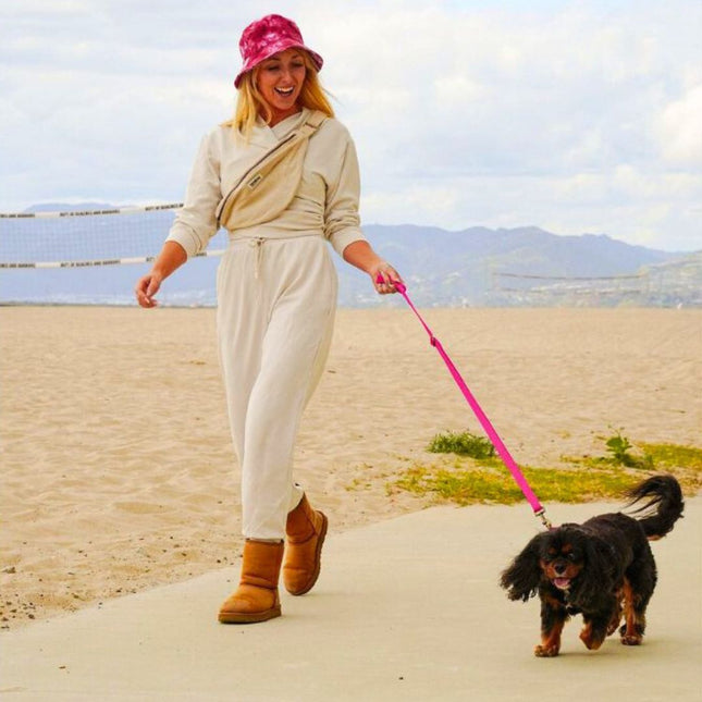 Woman walking a dog on a leash with mountains in the background