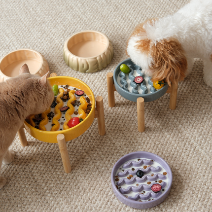 Two cats interacting with puzzle toys on a beige carpet