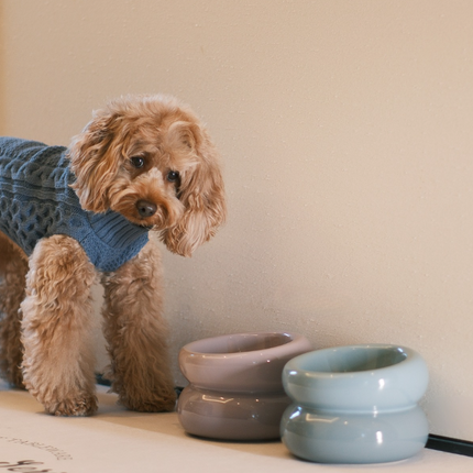 Dog wearing a blue sweater standing next to two ceramic bowls on a table.