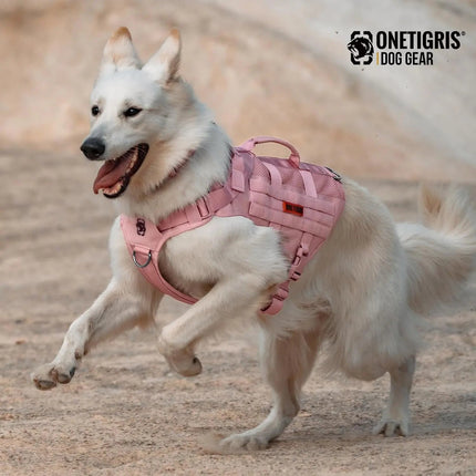 Dog wearing a pink harness running on a dirt path with 'ONETIGRIS' branding.