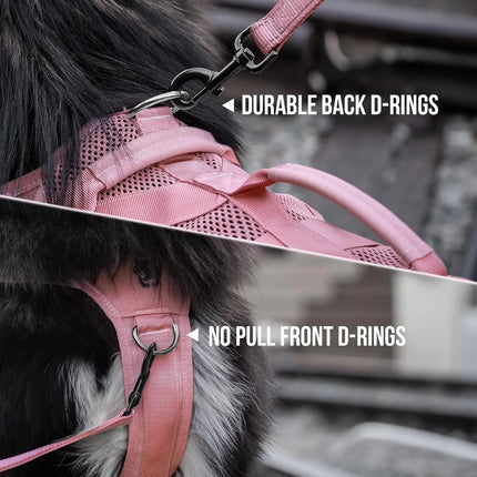 Pink dog harness with durable back D-rings and no pull front D-rings on a blurred background.