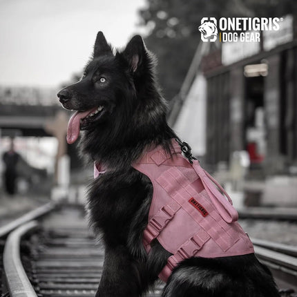 Dog wearing a pink vest on a railway track with 'ONETIGRIS' branding.