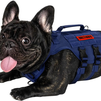Black dog wearing a blue tactical vest on a white background
