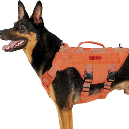 Dog wearing an orange harness on a white background