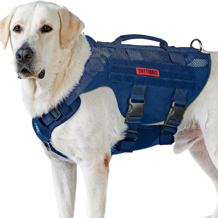Dog wearing a blue harness with a visible brand logo on a white background