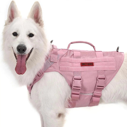 White dog wearing a pink harness on a white background