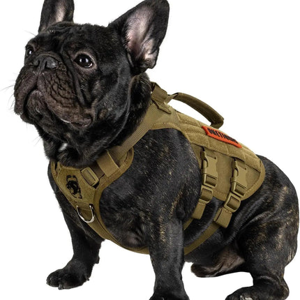 Black dog wearing a tactical harness on a white background