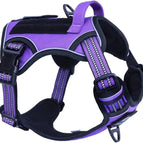 Purple / S(Neck:13-16