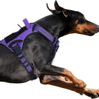 Purple / L(Neck:19-25