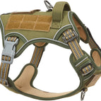 Green / M(Neck:16-20