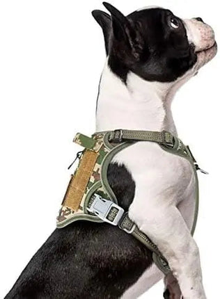 Tactical No-Pull Dog Harness with Top Handle - Reflective
