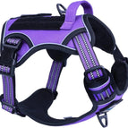 Purple / M(Neck:16-20