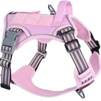 Pink / Xs(Neck:11-12.5