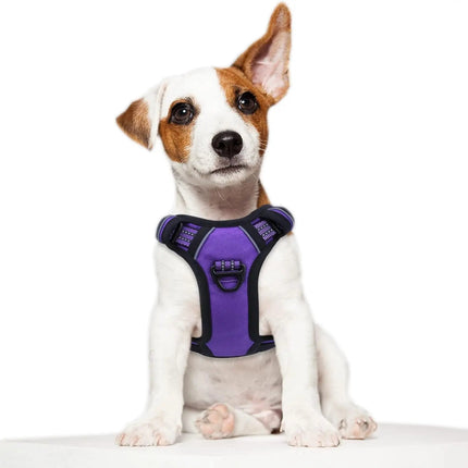 Tactical No-Pull Dog Harness with Top Handle - Reflective