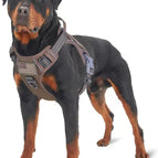Brown / M(Neck:16-20