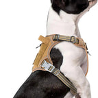 Brown / S(Neck:13-16