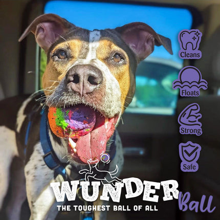 Dog with a colorful ball in its mouth, with 'Wunder Ball' branding and features listed.