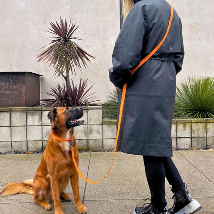 Person in a long dark coat with an orange strap holding a dog on a leash, standing on a sidewalk with plants in the background.