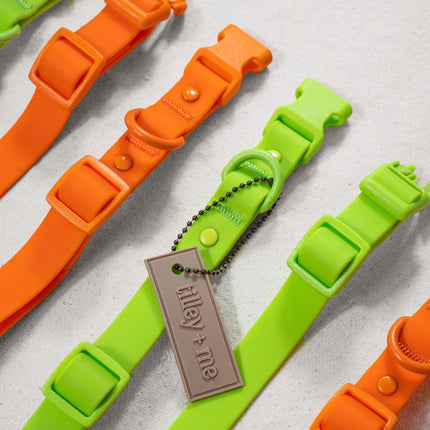 Green and orange dog collars with a metal tag on a light gray background