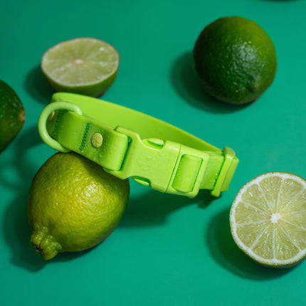 Green plastic clip on a green background with limes