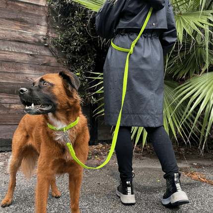 Person wearing a gray raincoat with a yellow strap walking a brown dog outdoors.