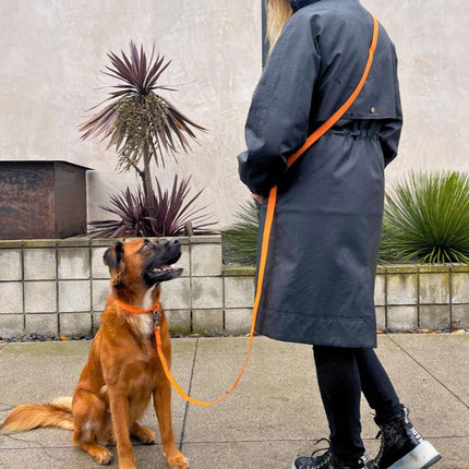 Person in a long dark coat with an orange strap holding a dog on a leash, standing on a sidewalk with plants in the background.