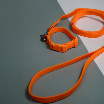 Orange dog leash and collar on a gray and white background
