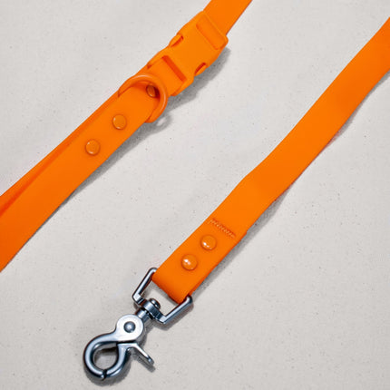 Orange dog leash close up with metal clip on a light gray background