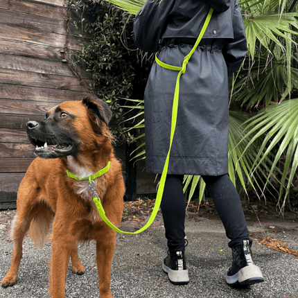 Person walking a dog on a leash with a gray raincoat in an outdoor setting