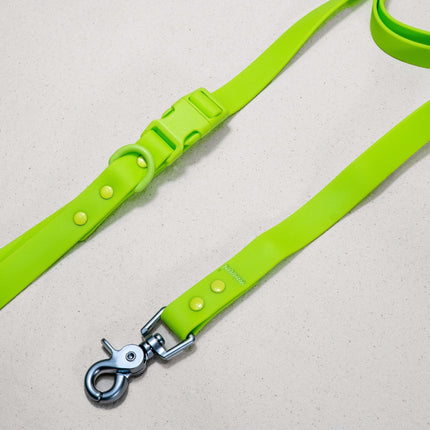 Green dog leash with metal clip on a light gray background
