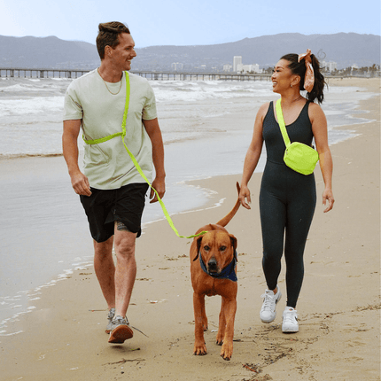 Man and woman walking a dog on a beach with mountains in the background