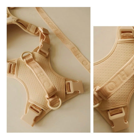 Beige dog harness on a light beige background