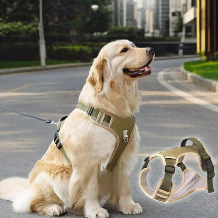 Dog wearing a green harness in an urban setting with an inset showing the harness details.