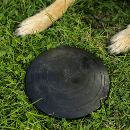 Aero Disc – Rubber Fetch Disc