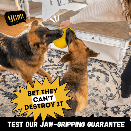Two dogs playing with a yellow toy on a patterned rug, with text promoting a product guarantee.