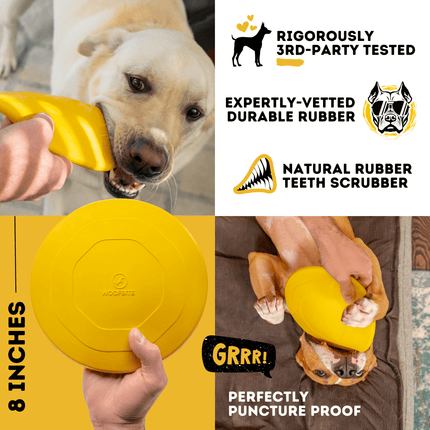 Dog playing with a yellow rubber toy, with text about its testing and durability.