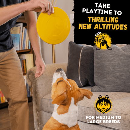 Person holding a yellow frisbee above a dog in a living room with text about playtime.