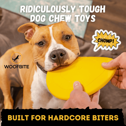 Dog chewing on a yellow toy with text about tough dog chew toys and WoofBite brand.