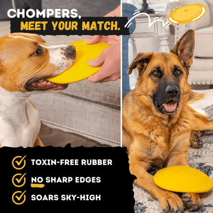 Two dogs playing with a yellow frisbee, with text highlighting product features.