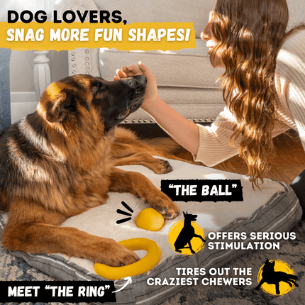 Woman petting a dog with toys labeled 'The Ball' and 'The Ring', promoting fun shapes for dogs.