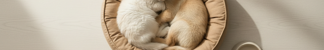 All Pet Supplies Lifestyle Image - Landscape