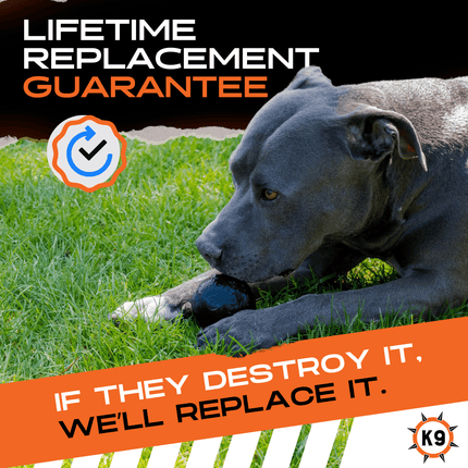 Dog chewing on a toy with grass in the background, promotional text about a lifetime replacement guarantee, and K9 logo.