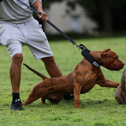 2-Inch Ultra Heavy-Duty Sport Collar for Large & Working Dogs