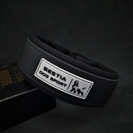 2-Inch Ultra Heavy-Duty Sport Collar for Large & Working Dogs
