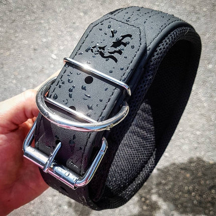 2-Inch Ultra Heavy-Duty Sport Collar for Large & Working Dogs