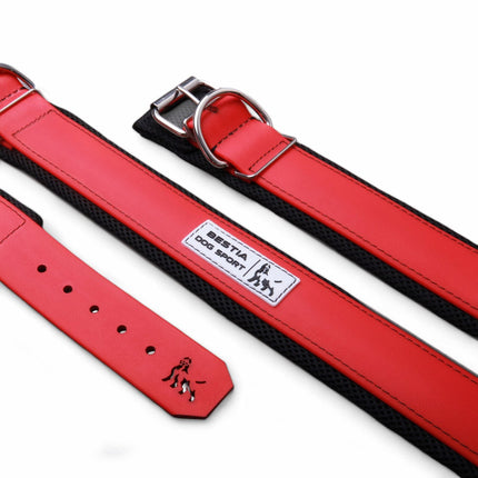 2-Inch Ultra Heavy-Duty Sport Collar for Large & Working Dogs