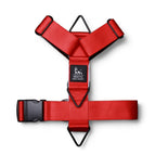 Red / M